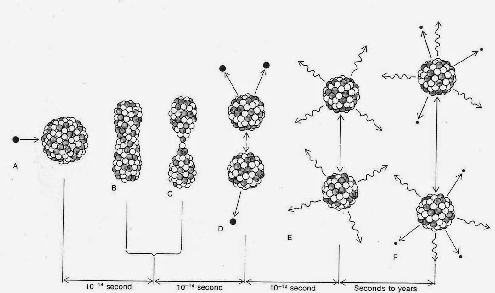 052a9-fission-jcropped_edited-2
